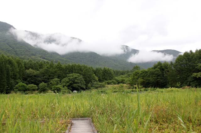 親海湿原