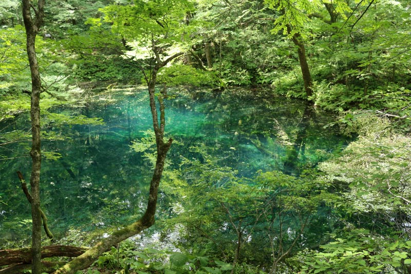 沸壺の池-1.jpg