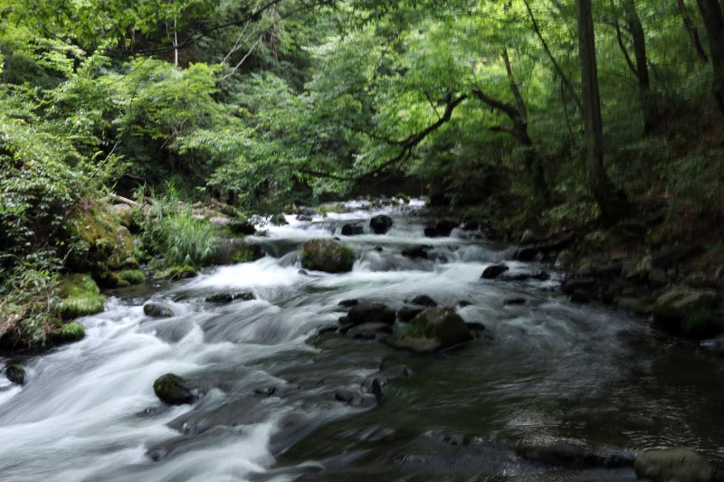 杜鵑峡-1.jpg