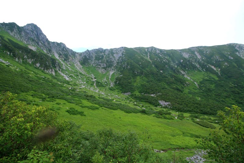 カール-1-2.jpg
