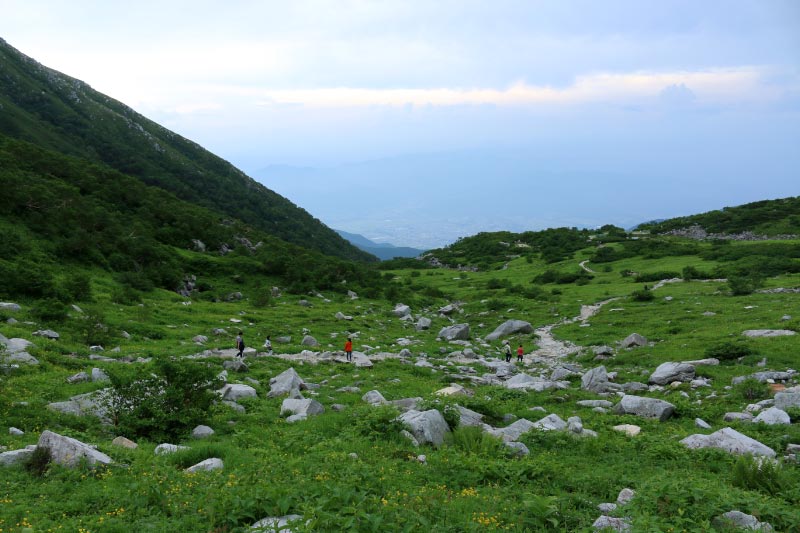 カール-1-3.jpg