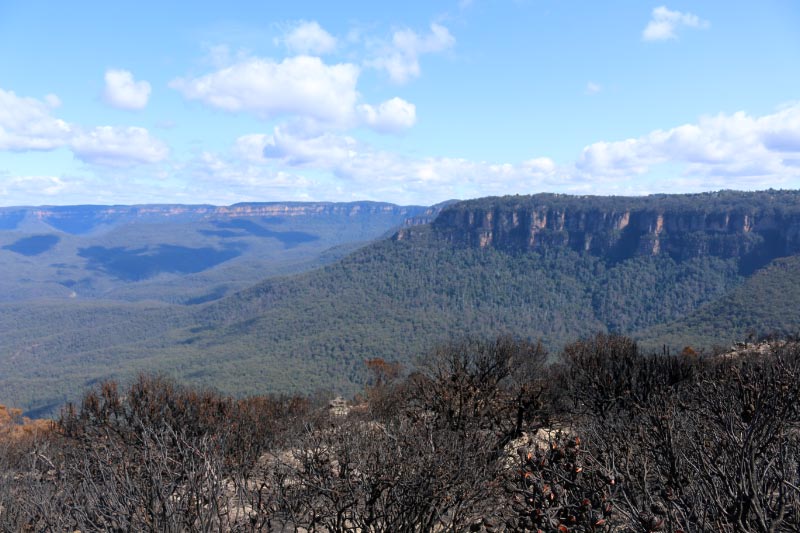 Jamison Valley.jpg