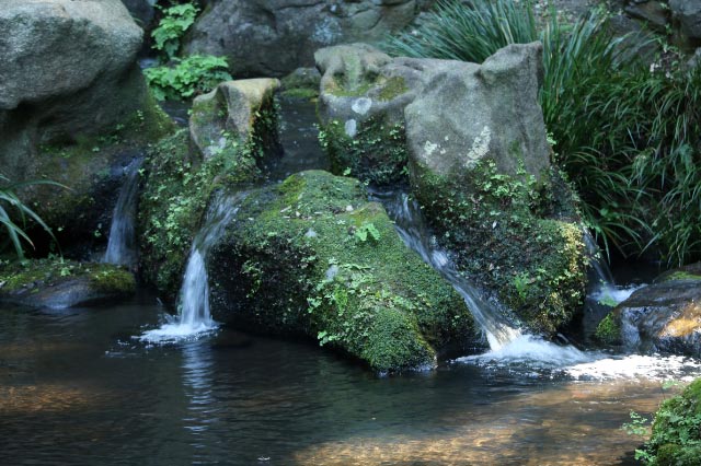 水分石-1.jpg