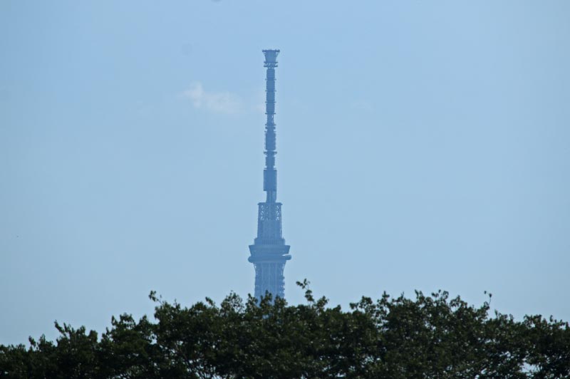 スカイツリー-1.jpg