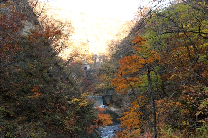 鳴子峡-1.jpg