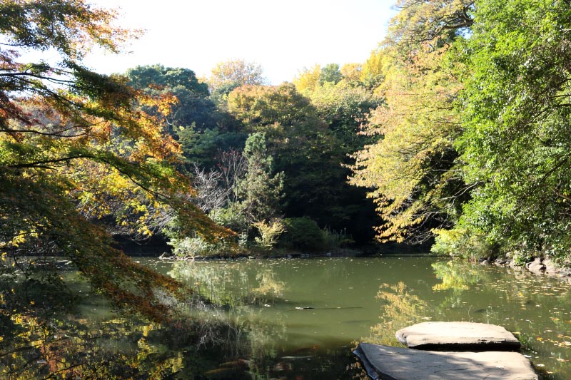 三四郎池-1-1.jpg