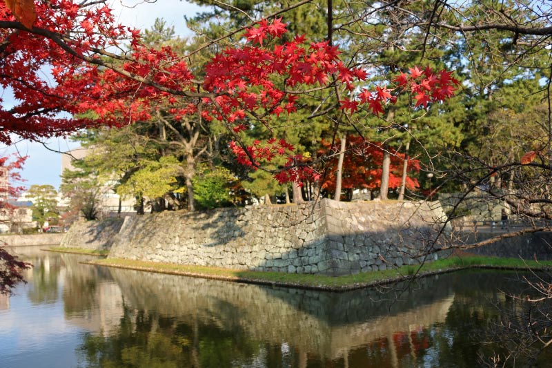 津城-1.jpg