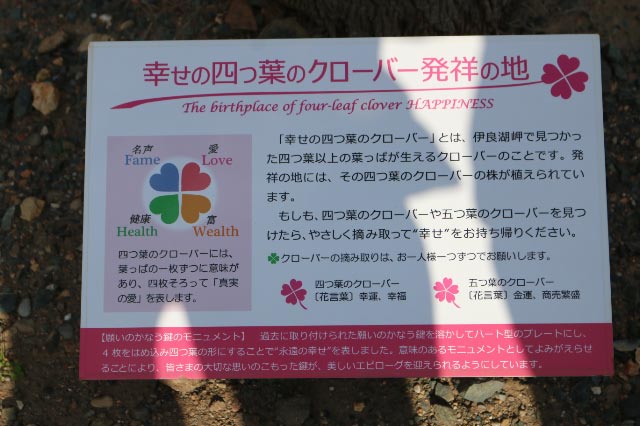 クローバー-1.jpg
