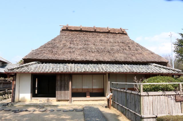 岩崎-1.jpg