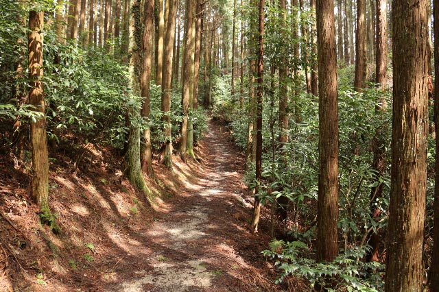 山道-1.jpg