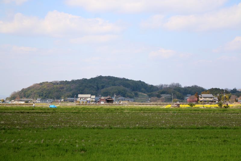 甘樫丘-1.jpg