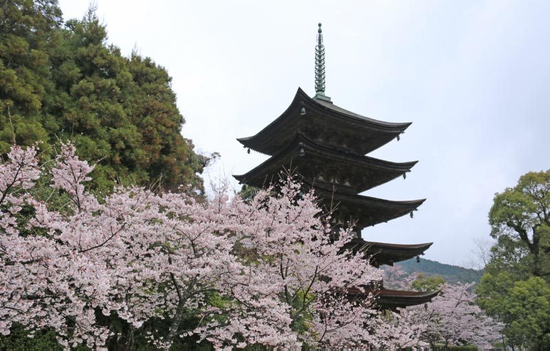 五重塔-1-1.jpg