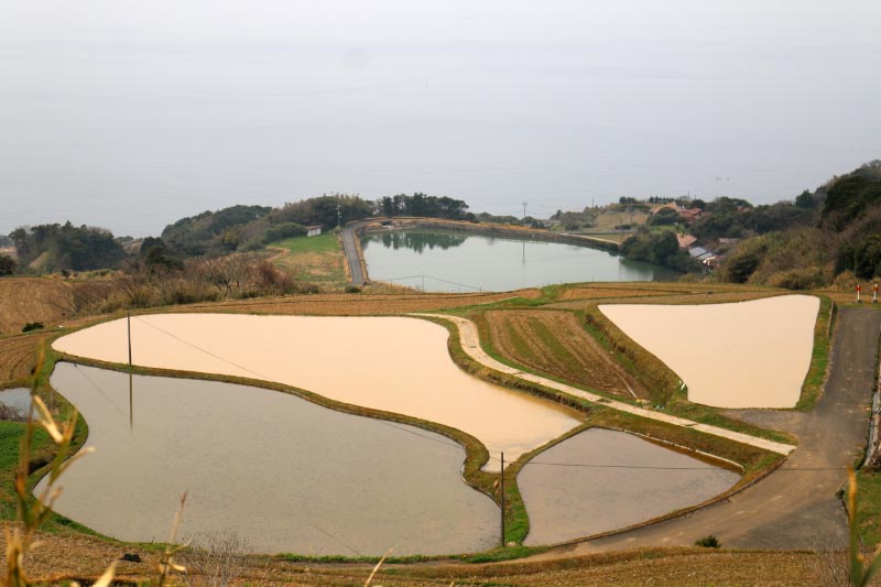 東後畑棚田-1.jpg