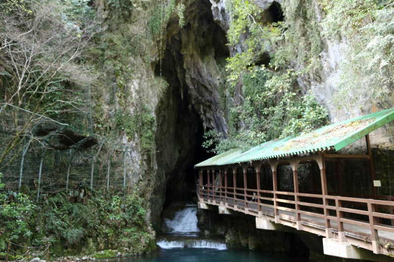 ½©Ë§Æ¶-1.jpg