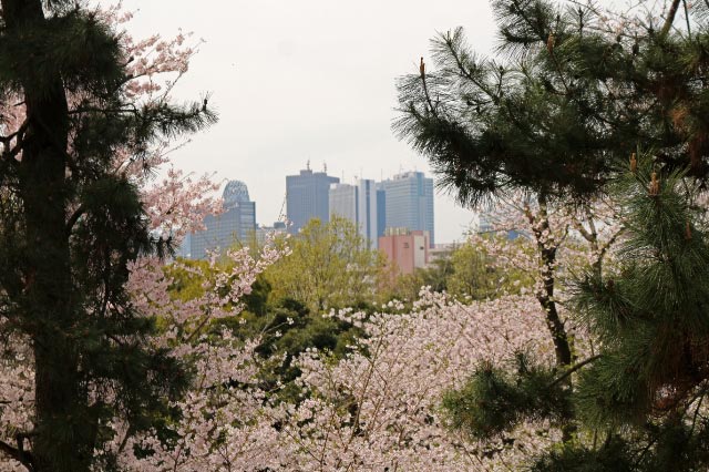 箱根山-1-1.jpg