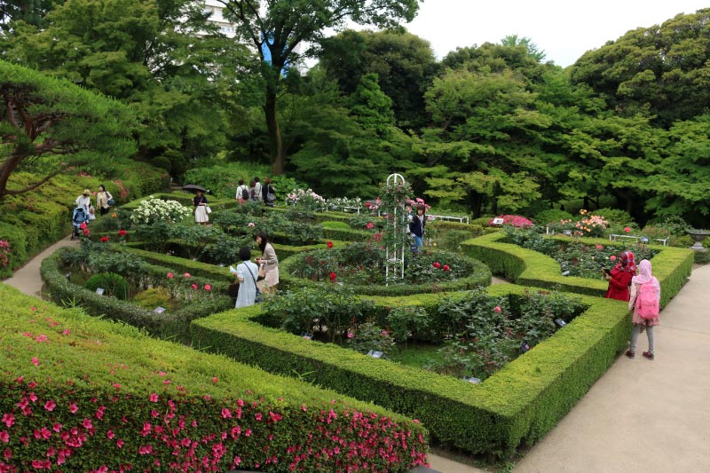 庭園-1.jpg