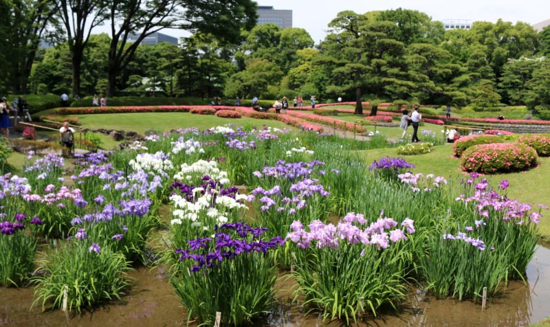二の丸庭園-1.jpg