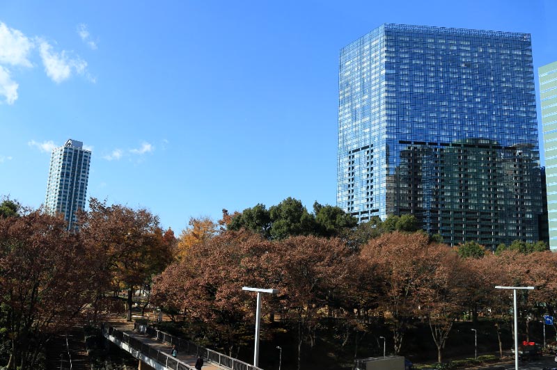 中央公園.jpg