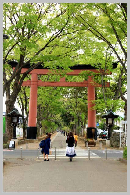 氷川神社-1.jpg