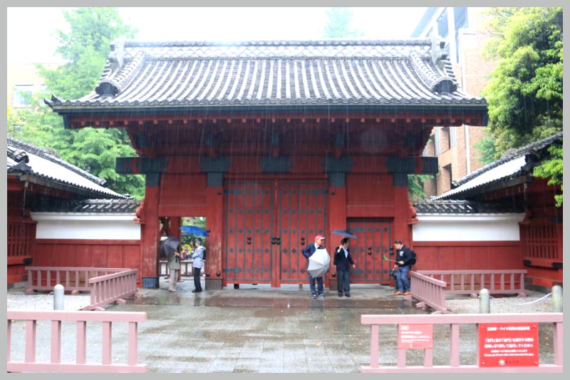 赤門-1.jpg