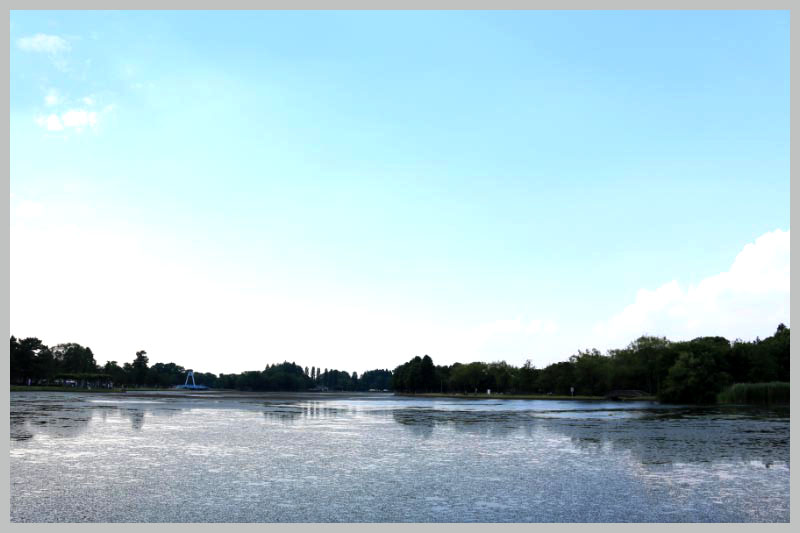 水元公園-1-2.jpg