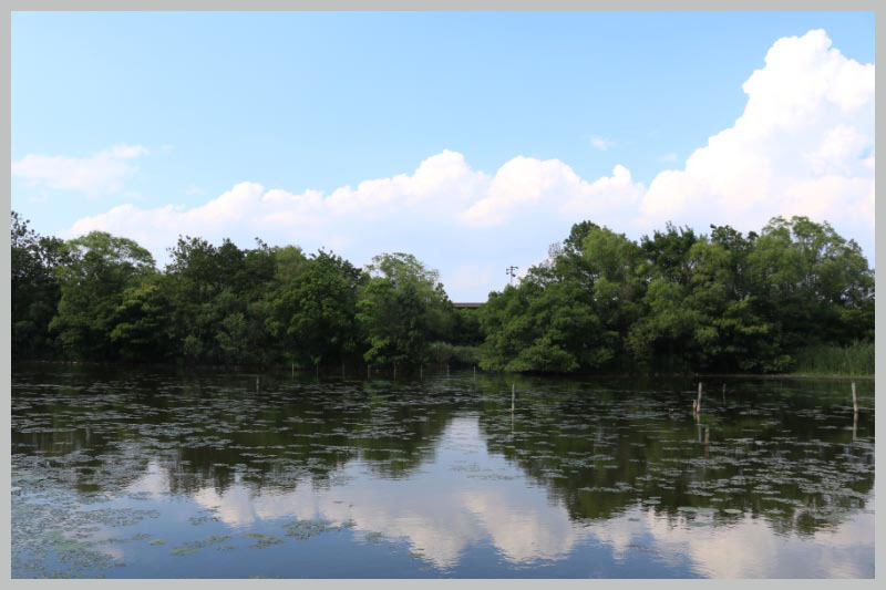 水元公園-1-1.jpg