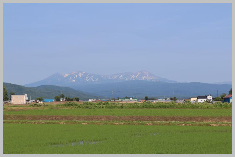 市内から見た旭岳-1.jpg