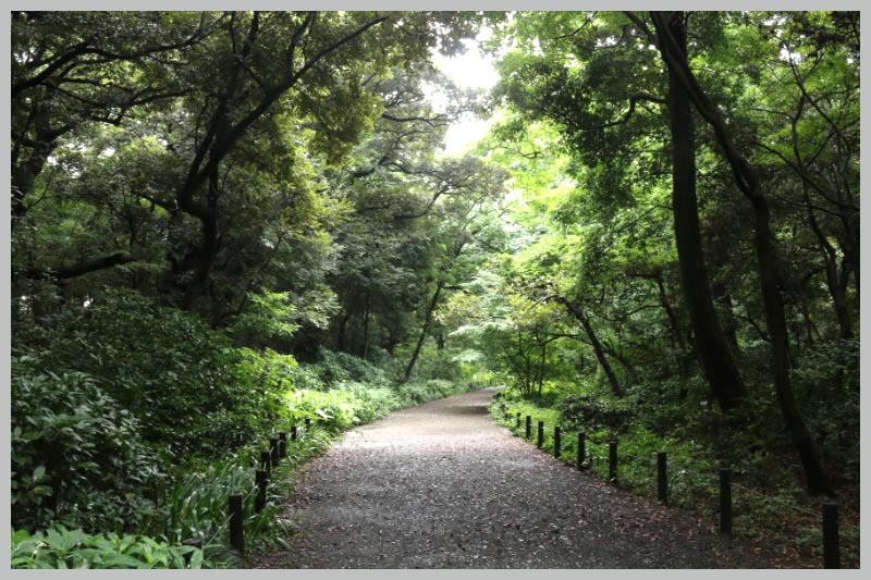 道-1.jpg
