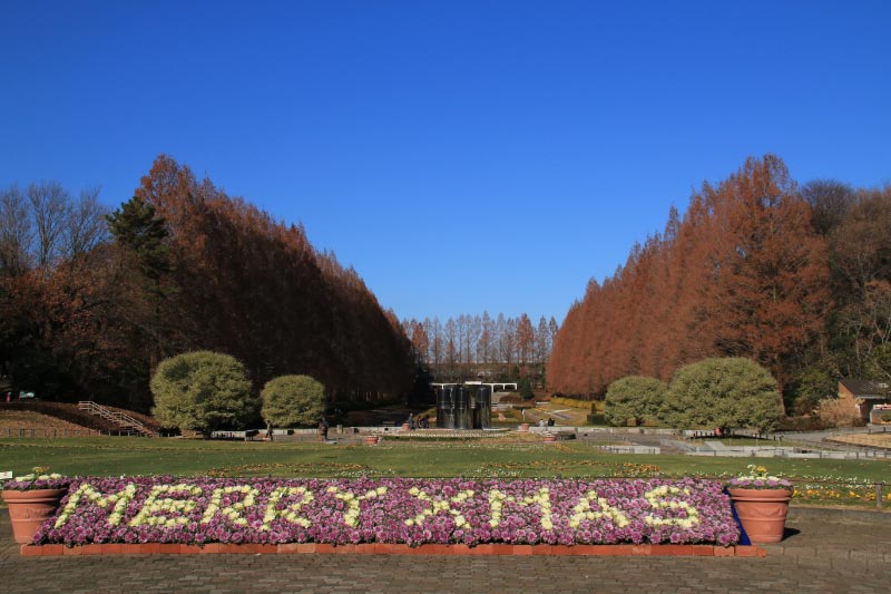 相模原公園-1.jpg