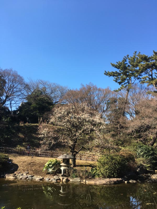 庭園-1.jpg