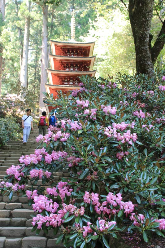 室生寺-1-3.jpg