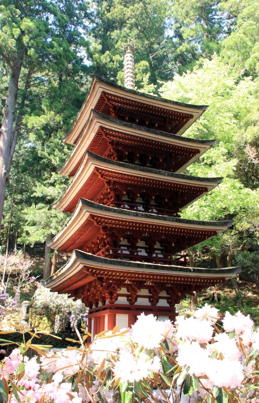 室生寺-1-2.jpg