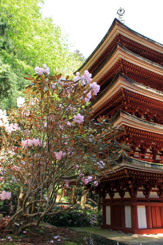 室生寺-1-1.jpg