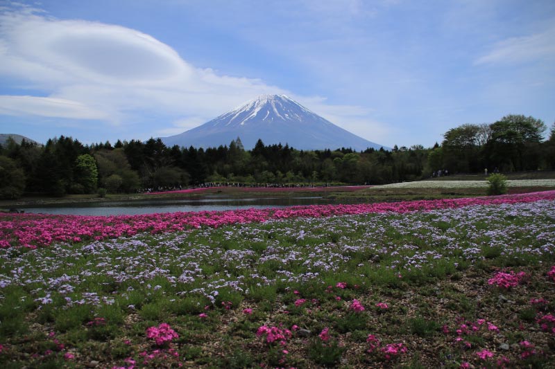 富士山-1.jpg