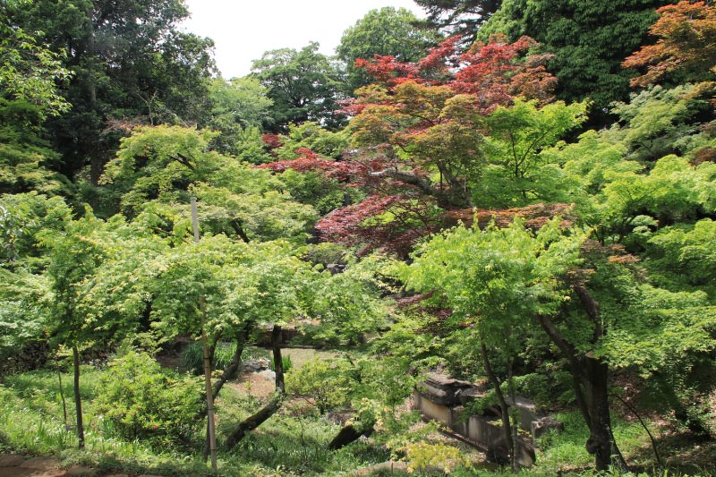 のぞき池-1.jpg