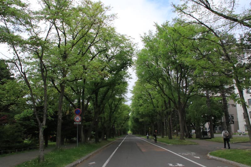 北大-1.jpg