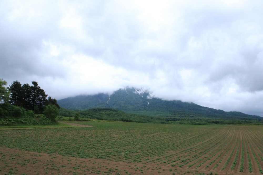 羊蹄山-1.jpg