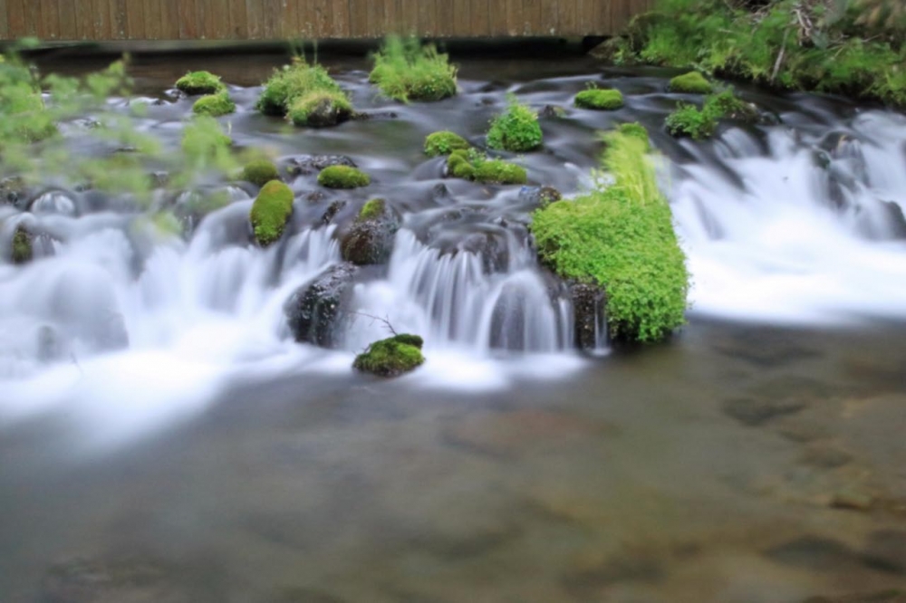 ふきだし公園-1-4.jpg