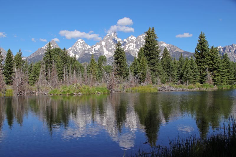 teton-1-1.jpg