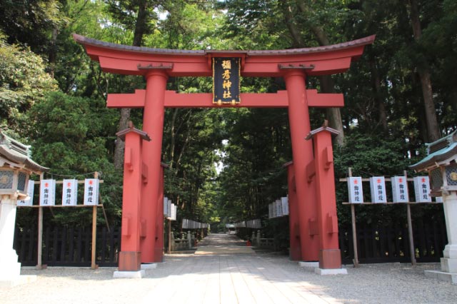 弥彦神社-1.jpg