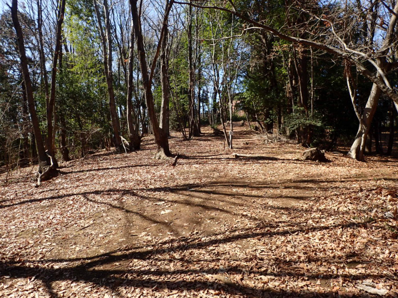 原峰公園-1-1.jpg