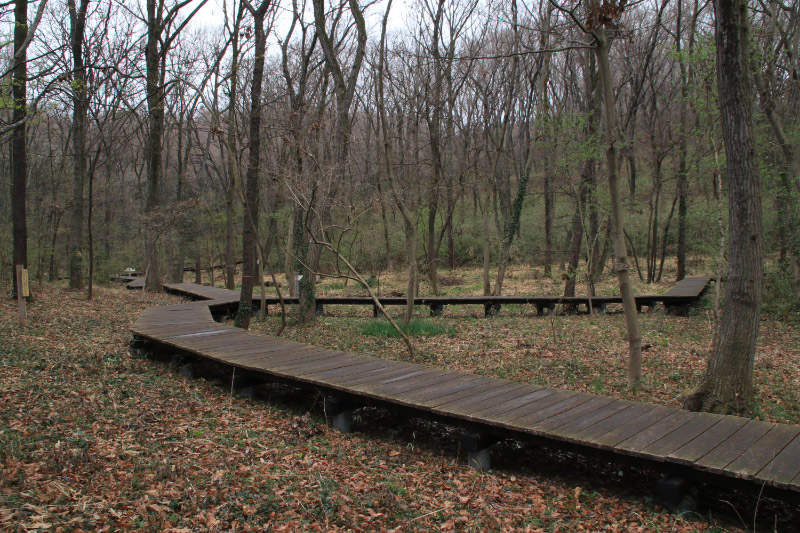 小宮公園-1.jpg