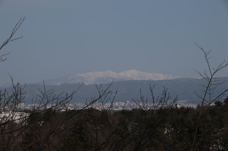 雪国植物園-1.jpg