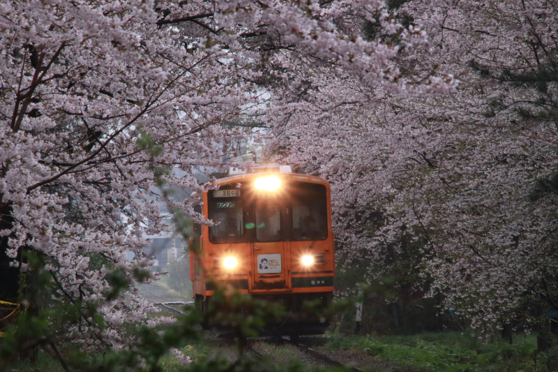 あしのこうえん駅-1.jpg