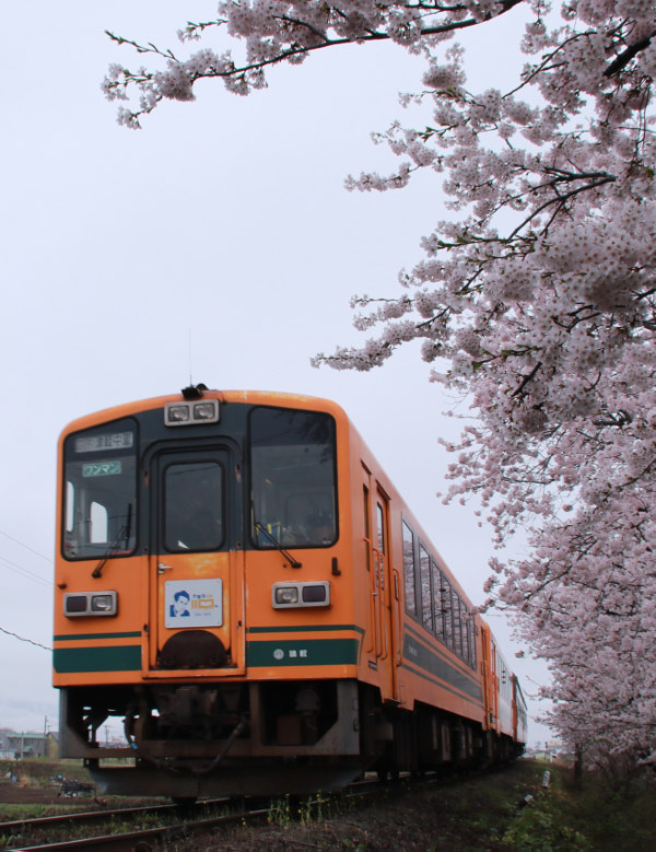 十川-1.jpg