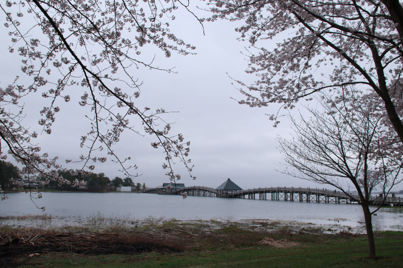 鶴の舞橋-1.jpg