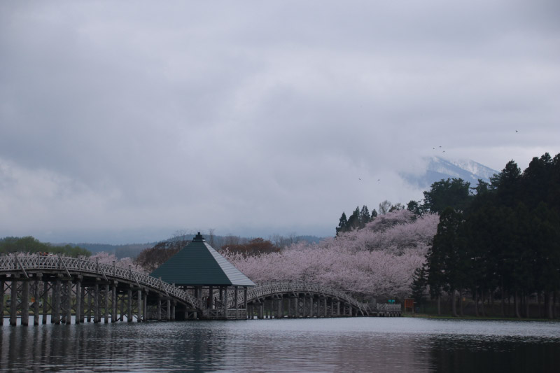 鶴の舞橋-1-1.jpg