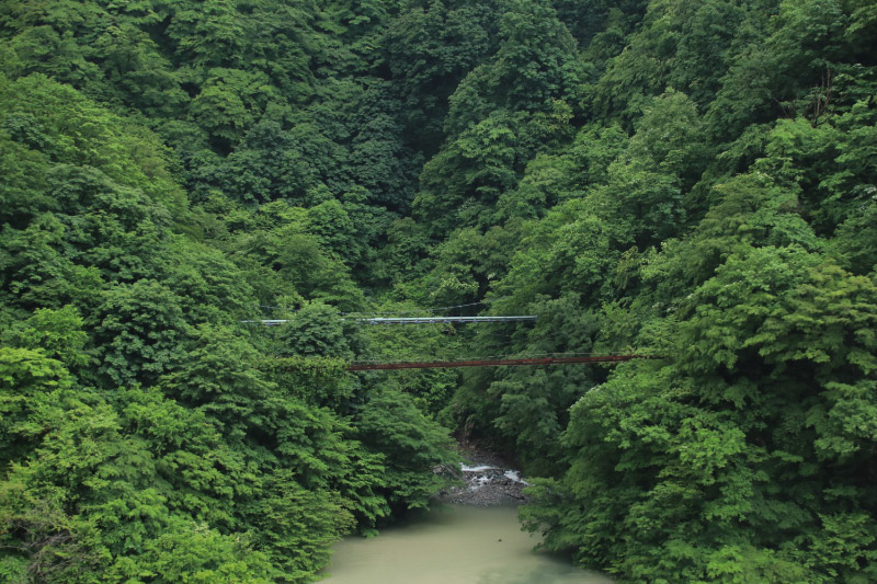 サル橋-1.jpg