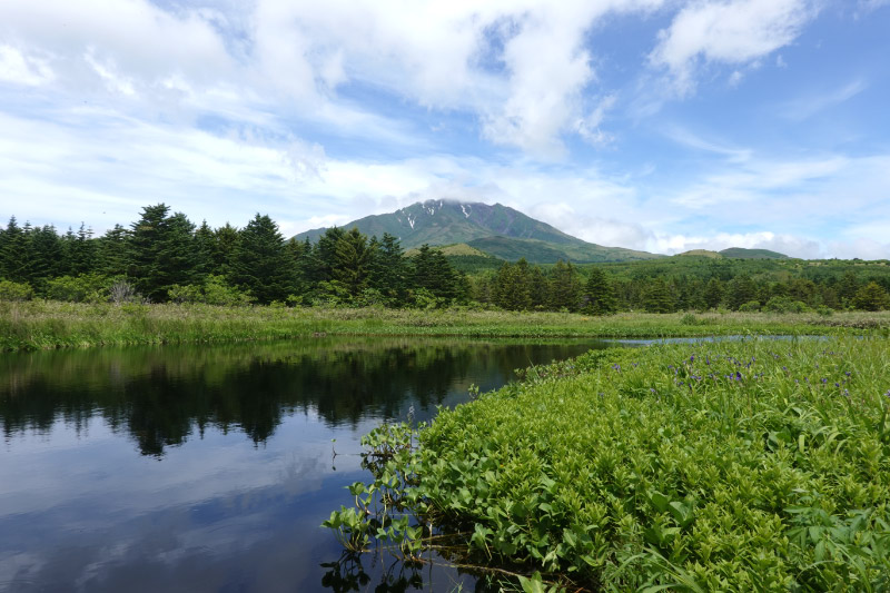 南原湿原-1.jpg