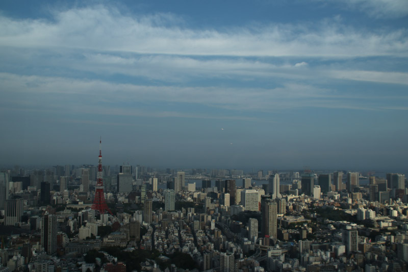 東京タワー-1-2.jpg